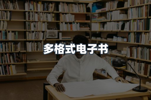 多格式电子书